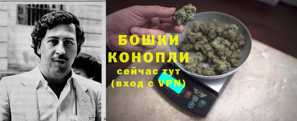 Альфа ПВП Майский
