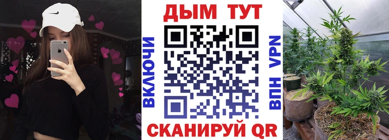 Бошки Шишки конопля  Купить где  Шадринск 